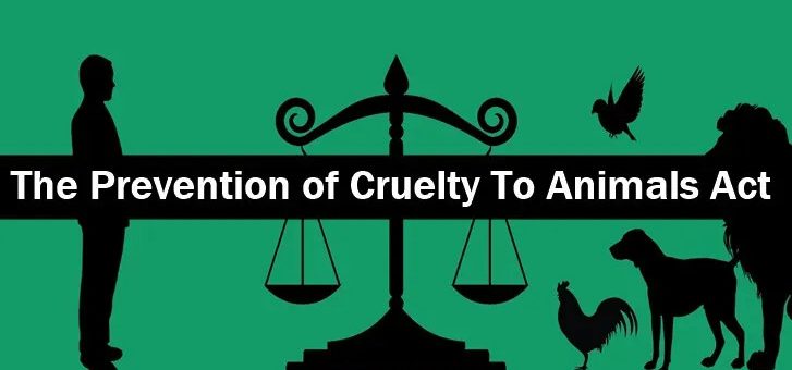 Kanoon Gurus | Legal News | Latest Legal & Business News, Updates, Short  Summary | THE PREVENTION OF CRUELTY TO ANIMALS ACT 1960