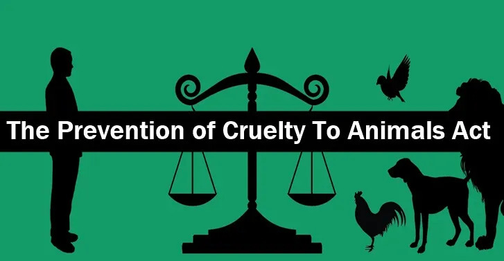 Kanoon Gurus | Legal News | Latest Legal & Business News, Updates, Short  Summary | THE PREVENTION OF CRUELTY TO ANIMALS ACT 1960